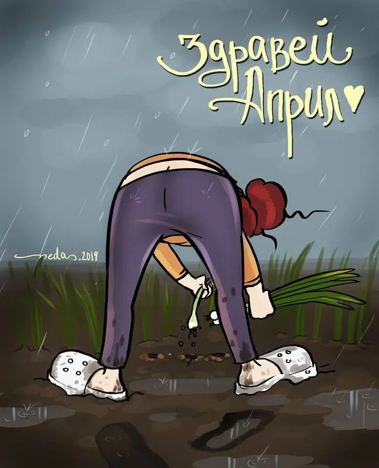 Неда Малчева