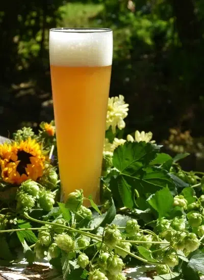 Родни учени за първи път изследваха бирата у нас