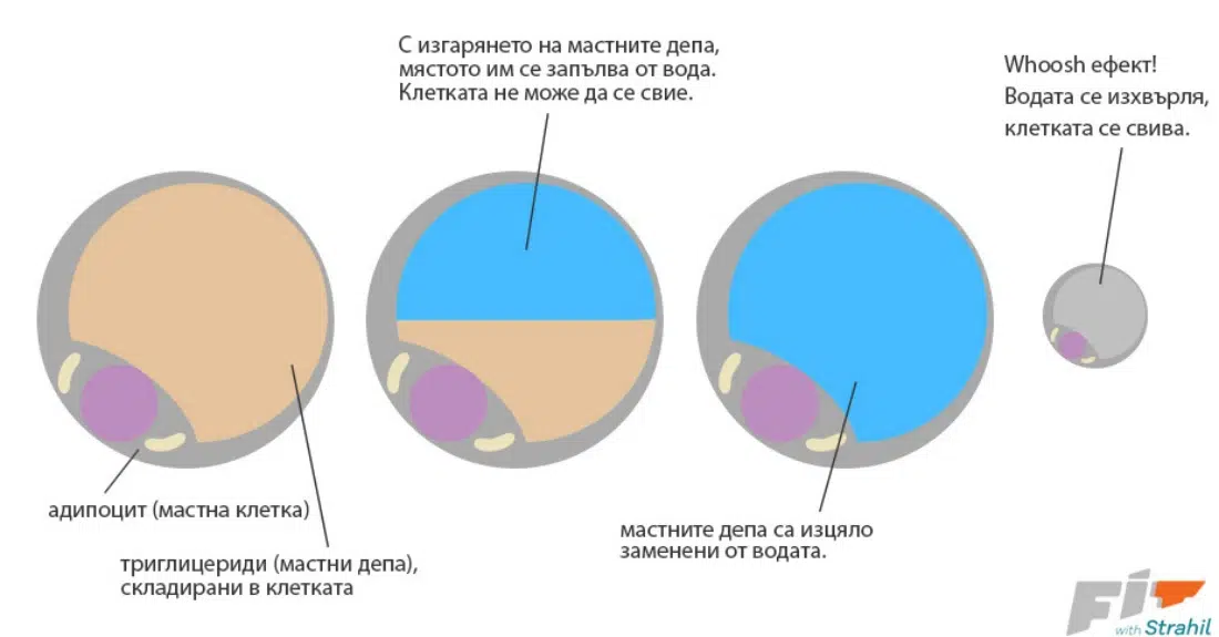 Whoosh ефектът, или как да свалим килограмите безпроблемно
