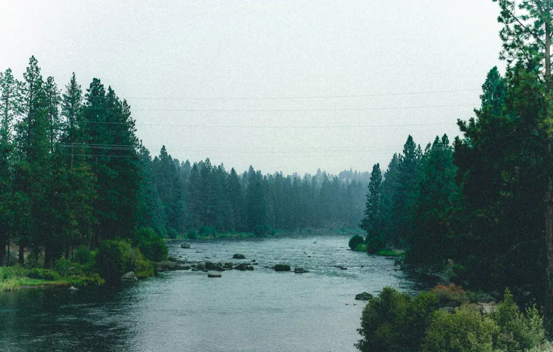 Психология на фотографията, или какво разкриват снимките за нас
