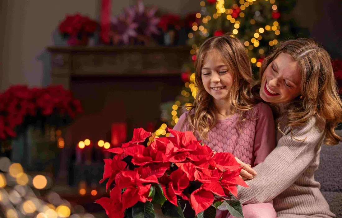 Твоята зимна муза: тайните на перфектната коледна звезда