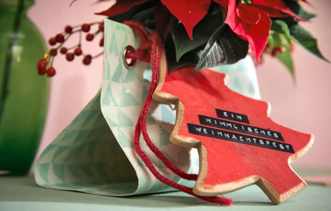 Коледната звезда като подарък! Защо пък не?!