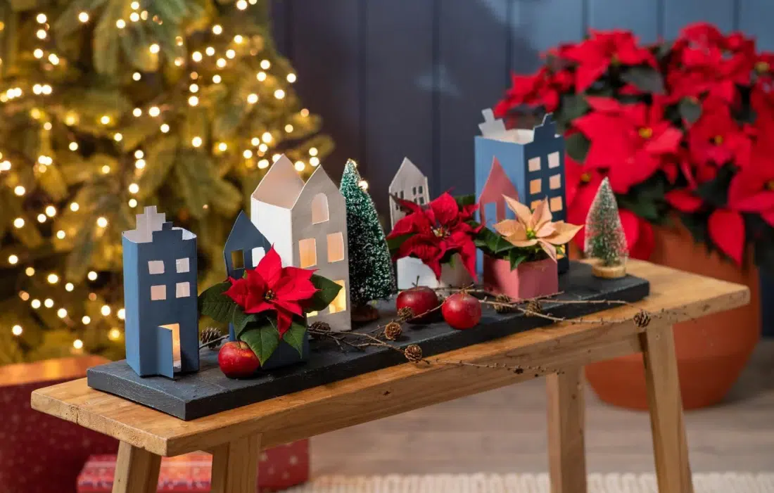 Коледната звезда като подарък! Защо пък не?!