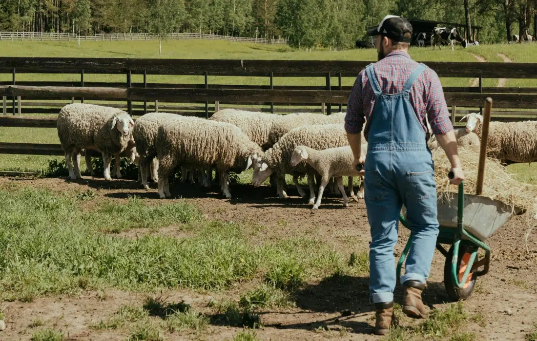 "Фермата" се завръща, кастингът започва