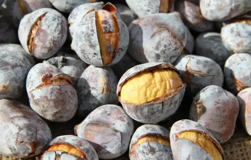 Печени/Варени кестени