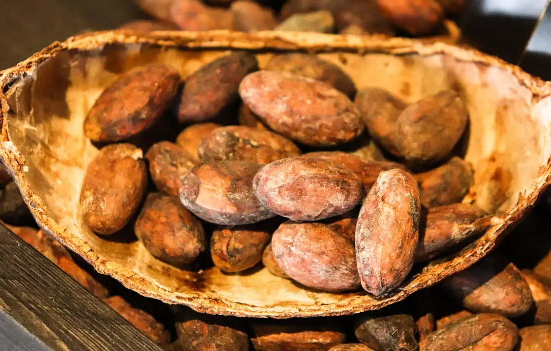 Чаша какао на ден помага за добра памет