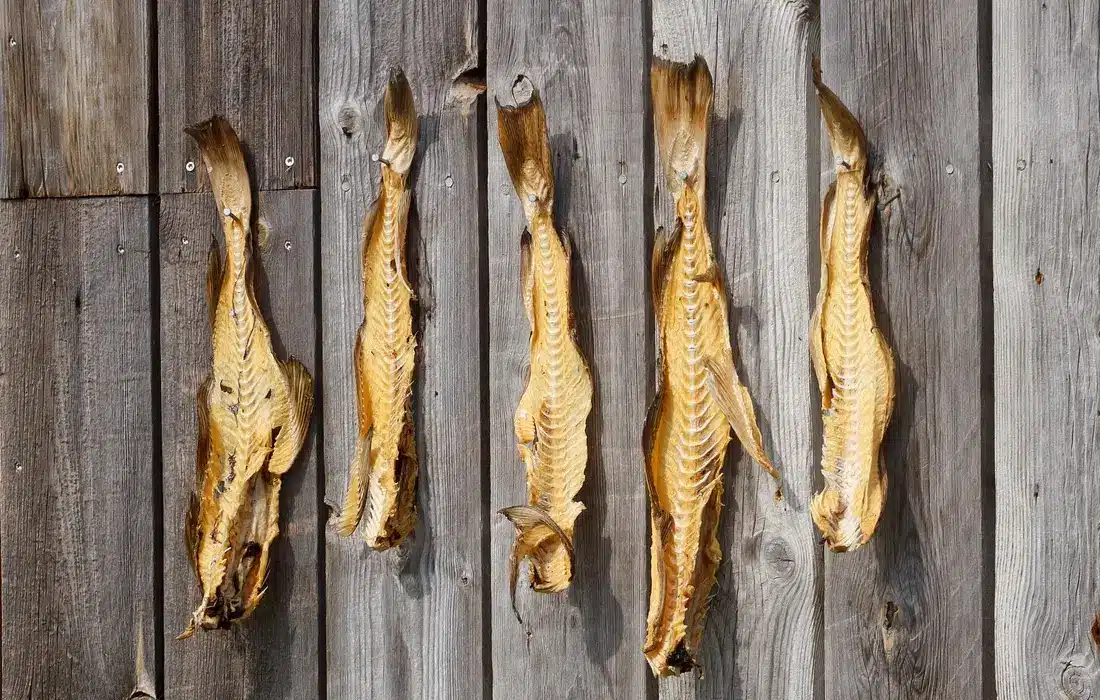 Вкусни и вмирисани - кои са най-силно миришещите храни?