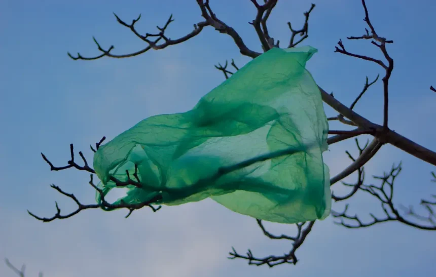 Футболни звезди захапаха... найлонови торби