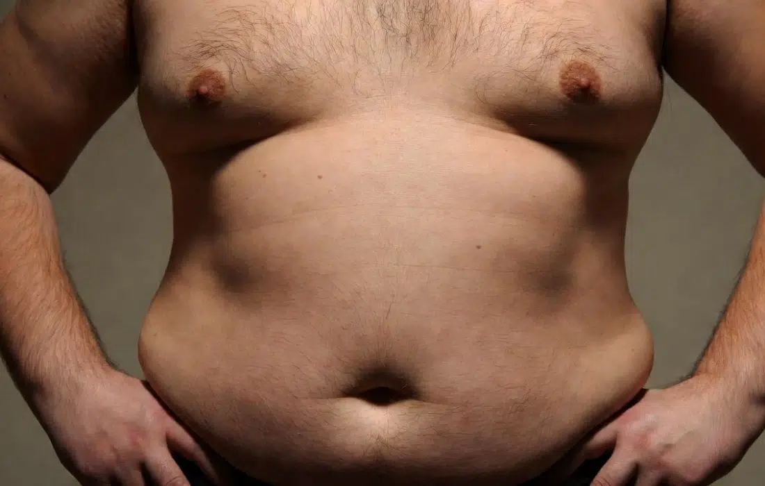 Паласките! Време е да спечелим войната