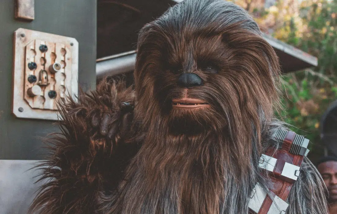 Сбогом, Чубака!