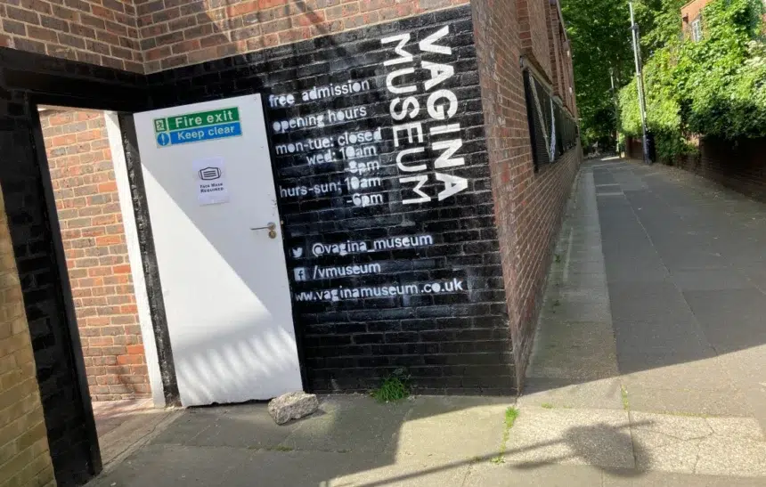 Светът не е това, което беше: Музей на вагината отвори врати в Лондон