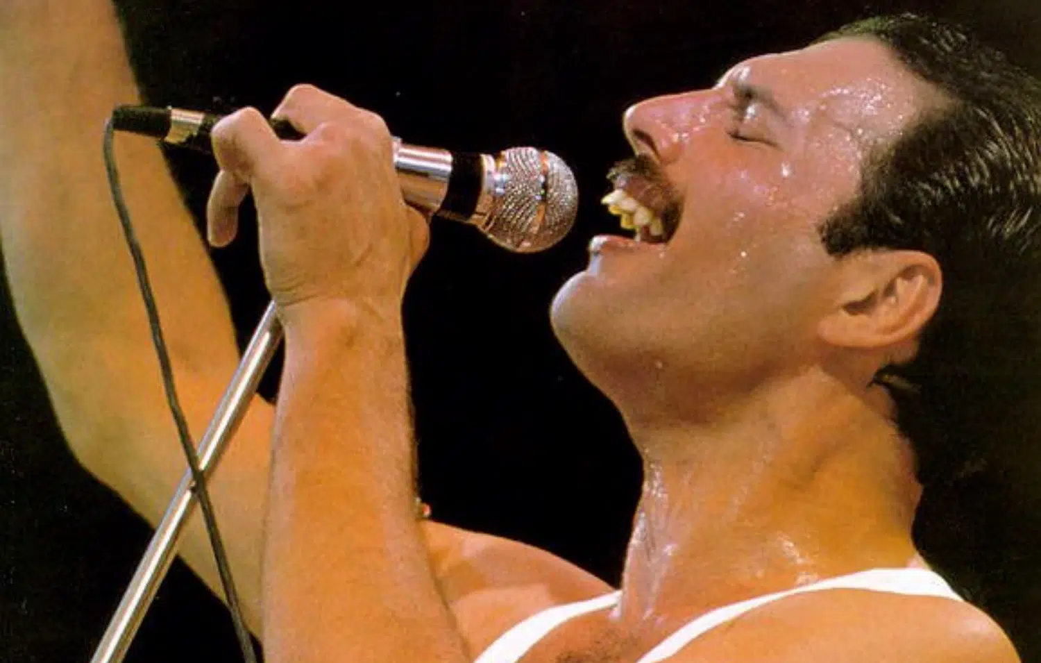 Queen и Фреди Меркюри