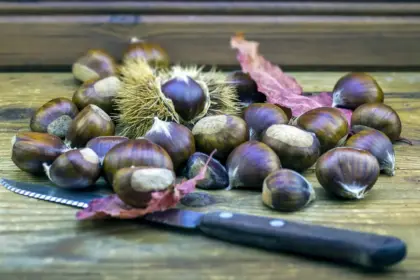 4 вкусни начина за приготвяне на кестени