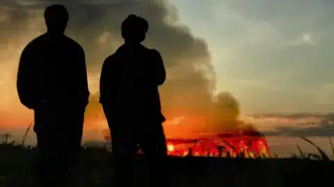 Алекс Уорън и Джо Джонас обединиха усилия за нова версия на "Burning Down"