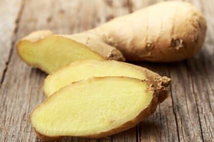 джинджифил