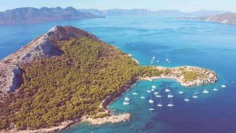 Излезе "La Musica Suena": новият общ сингъл на Mascota & D-Trax