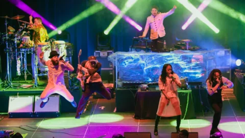 Thievery Corporation