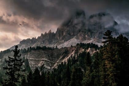 Предците ни са спели зимен сън