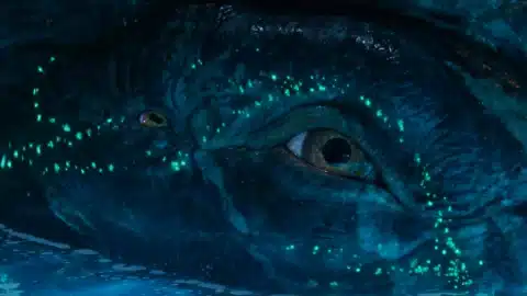 Майли Сайръс влиза в "Аватар: Огън и пепел"