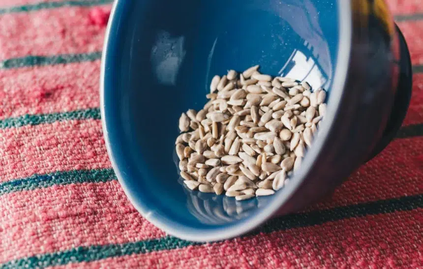 Какво е ротация на семена?