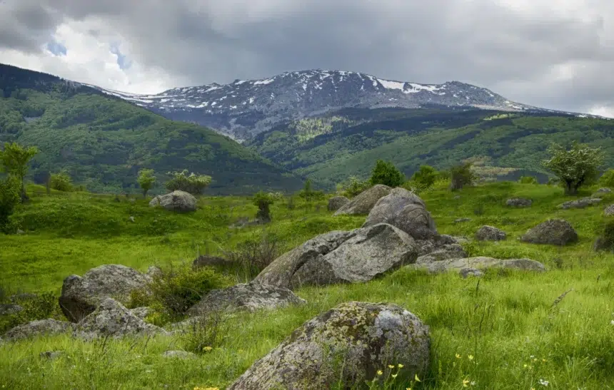 Да почистим Витоша заедно!